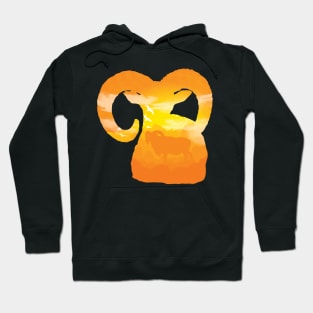 Aries lansdcape Hoodie